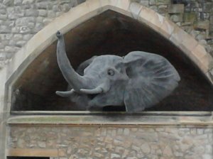 For some reason I hadn't expected to see an elephant either! (This one's made of wire mesh).